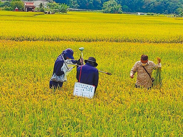 新竹縣政府農業處上月底前往關西4塊農田採樣化驗，檢測結果預計本周內出爐。（新竹縣府提供／邱立雅竹縣傳真）