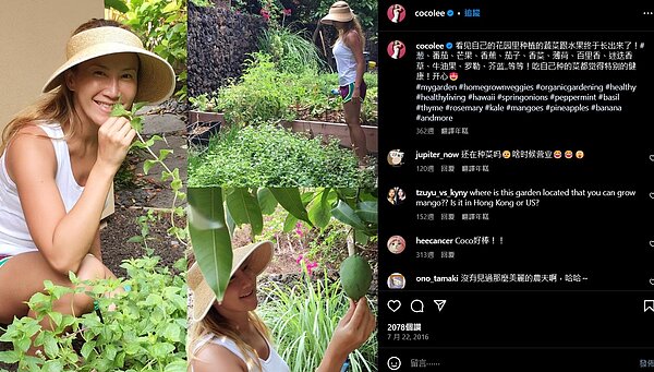李玟曾透露自己在花園栽種各式蔬菜水果。圖/取自Instagram