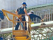 登革熱防疫擾民　投訴案上百件