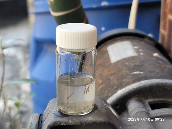 高雄市府衛生局派員前往登革熱染疫個案住家附近採檢病媒蚊孳生源,並進行清消作業。圖/高雄市衛生局提供