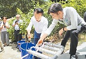 桃源村蓋蓄水池留住湧泉水源　灌溉百公頃果園