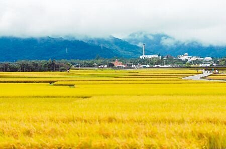 內政部日前預告鬆綁「非都市土地使用管制規則」，將低地力等農牧用地等更多土地納入新創的「綠能發展區」，引發學界和環團百位學者連署反對。圖為農田示意圖。（本報資料照片）