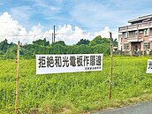 台南白河將設6光電場　地方跳腳