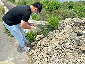 彰化地理位置適中成「濫倒樂園」　前三被倒熱點都靠海