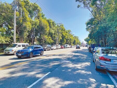 桃園市龍岡地區龍東路兩側白線停放車輛,日前遭警方開出逾200張罰單引發民怨。(呂筱蟬攝)
