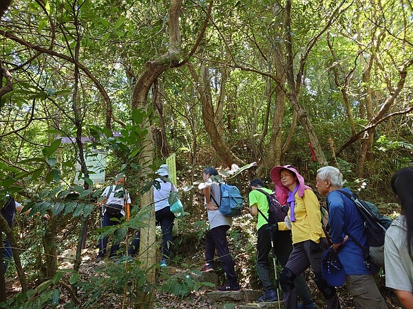 暖東健走路線暖東峽谷步道為淡蘭百年山徑中路的起點，民商往來的必經之路，先民踏上淡蘭古道來到暖暖老街交易，有豐富的人文歷史與自然景觀。圖／新北市觀光局提供