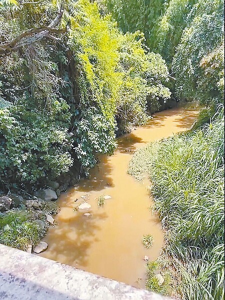 南投縣中寮居民拍攝影片,控訴農場12日偷排糞水進竹坑溪,造成清澈溪水變混濁。(民眾提供/楊靜茹南投傳真)