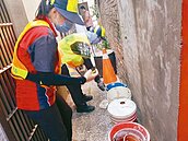 本土登革熱446例　10年來新高