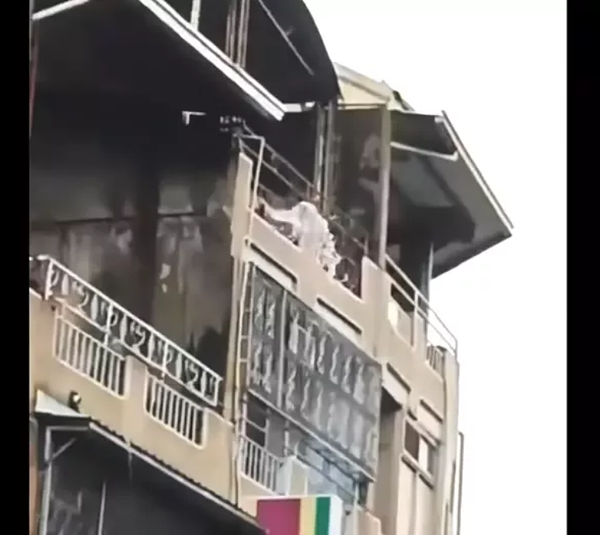 南投草屯有民眾從頂樓往樓下狂潑水,引發地方討論熱議。圖/翻攝自臉書社團「草屯人.COM」