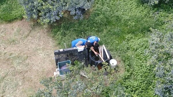 雲林縣登革熱疫情持續延燒,累積確診病例已達67例,縣府上周五鐵腕執法,全縣同步巡查積水容器,環保局更出動空拍機在古坑鄉疫情熱區巡察,累計至20日已開出33張罰單。圖/雲林縣環保局提供