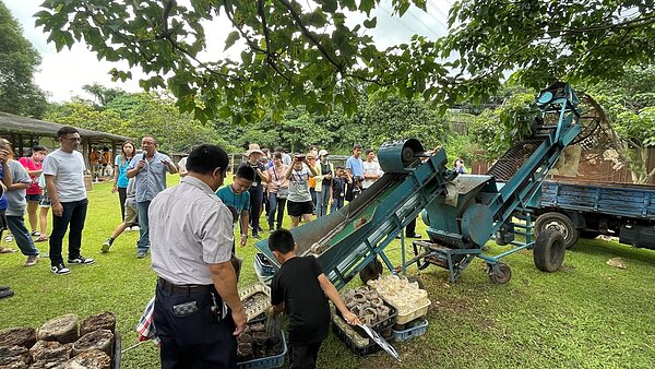 太空包去化處理。圖/農業局提供