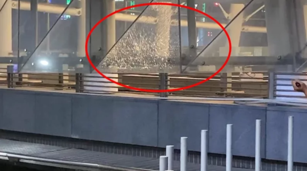 高捷美麗島站玻璃帷幕昨深夜疑遭人射擊鋼珠彈，其中一處的玻璃碎成窗花，警方鑑識人員漏夜採證。圖／讀者提供