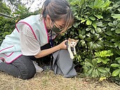 打造友善動物城！竹市推1959動保專線　24H救援不間斷