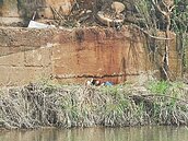 竹縣鳳山溪汙染　開挖清除送驗