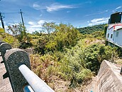 河道雜草叢生...暴漲恐不堪設想　台東爭經費疏濬