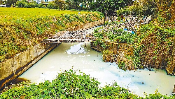 新竹縣竹北市麻園里藍翁厝圳，10天被偷倒2次廢油汙，農業灌溉用水呈乳白色無法使用，農民炸鍋。（許榮生提供／羅浚濱新竹傳真）