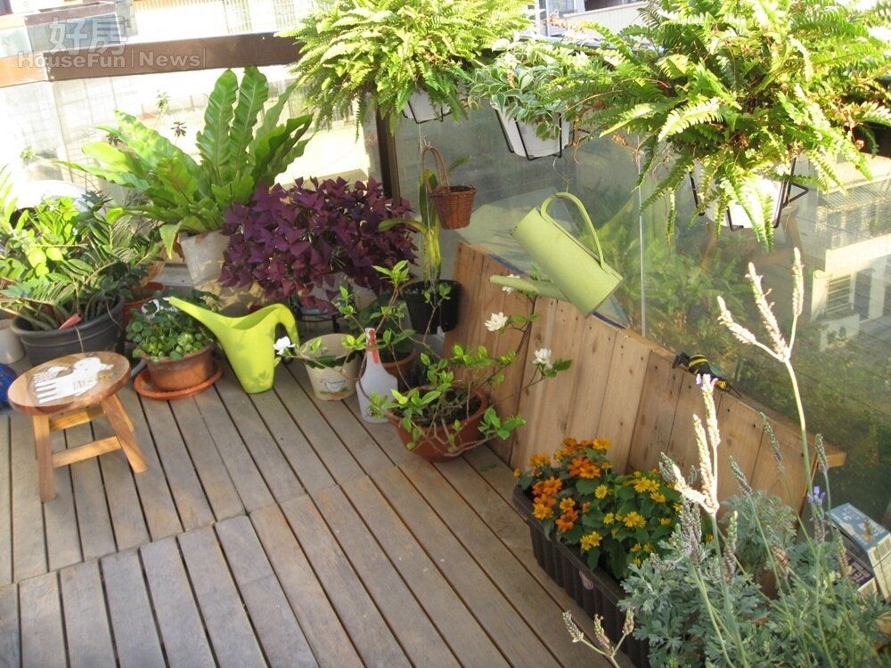 陽台 盆栽 綠色植物 降溫 植物 (好房News記者林美欣/攝影)