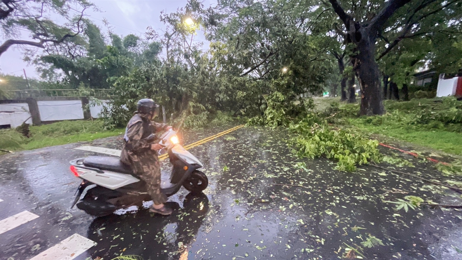 高雄市遭杜蘇芮颱風侵襲，處處有倒樹阻礙交通。記者劉學聖/攝影 