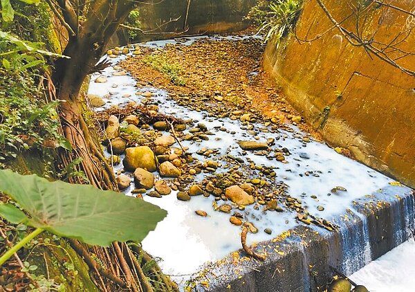 新竹縣關西鎮牛欄河桃竹交界處再傳汙染，長達1公里的河域成為白色牛奶河。（關西鎮環境守護協會提供／邱立雅竹縣傳真）