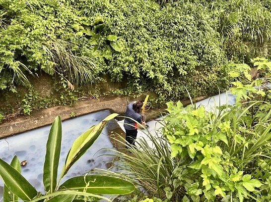 桃園市環保局稽查人員在溪水中採樣與檢驗。圖/桃園市政府環保局提供