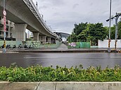 台中綠空廊道暢通了！台中車站專區走路直通三大景點