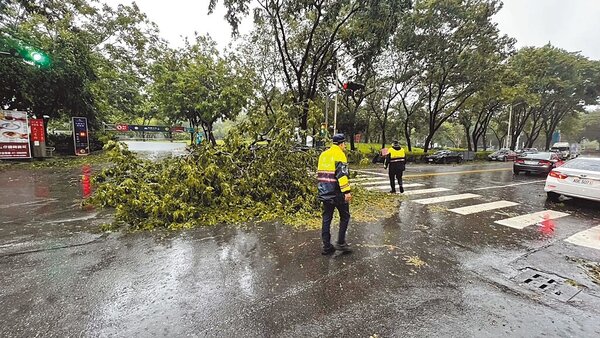 高雄截至昨日下午2時，共有800棵路樹倒塌，不僅阻礙交通，也讓前來清除樹木的公園處相關人員、協助清理以及指揮現場交通的警察疲於奔命。（翻攝照片／崔正綱高雄傳真）