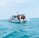 名人帶動　環保葬10年增逾10倍