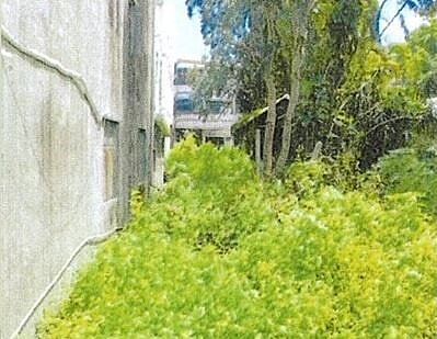 放任私人土地雜草長度超過50公分,經環保局通知而屆期未改善,將被處以最低1,200元罰鍰。圖/台中市政府提供