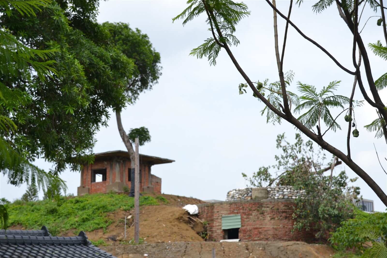 文化局今年3月啟動桂子山整體工程，預計明年上半年完工，要打造人文與自然共存景點。記者鄭惠仁／攝影 