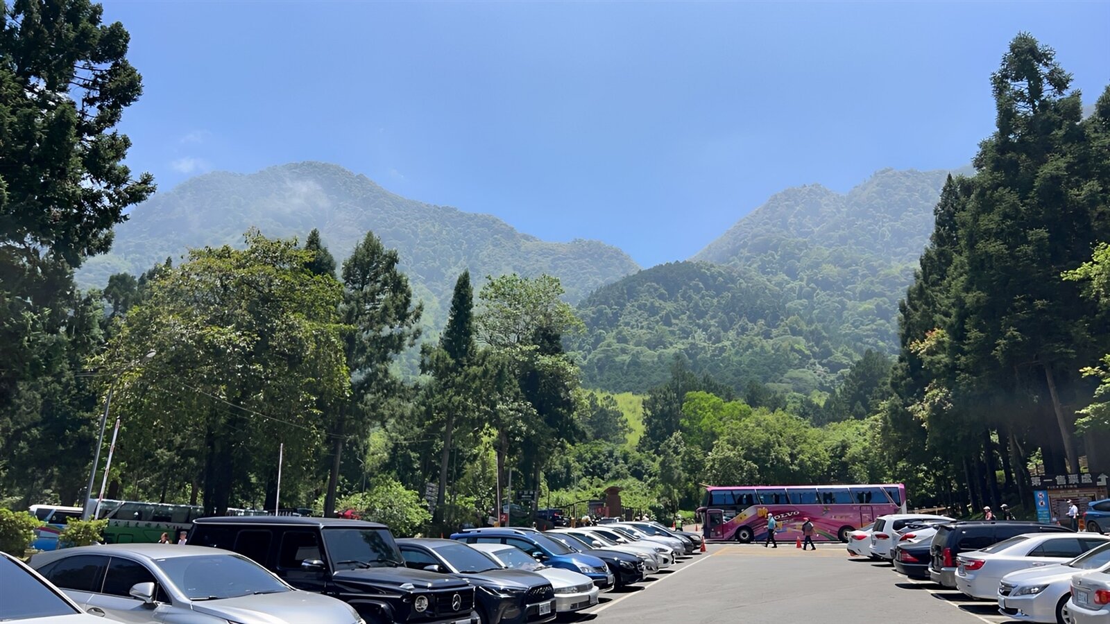 溪頭園區停車場8月起改電子收費,開放鹿谷鄉親每人1車登記免費停車,但3天湧入700多人登記,連未成年人都來登記。記者黑中亮/攝影