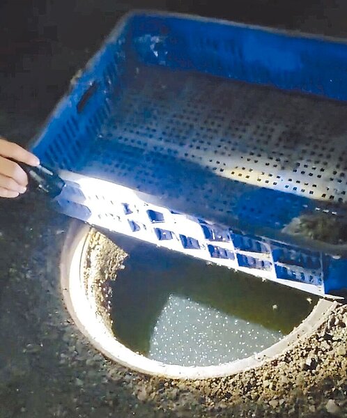 台南市登革熱3日新增30例確診病例,累計已達784例,昨天更在疫情居高不下的永康區中華一路一處地下停車場查獲上萬隻孑孓的重大孳生源。(台南市登革熱防治中心提供/曹婷婷台南傳真)