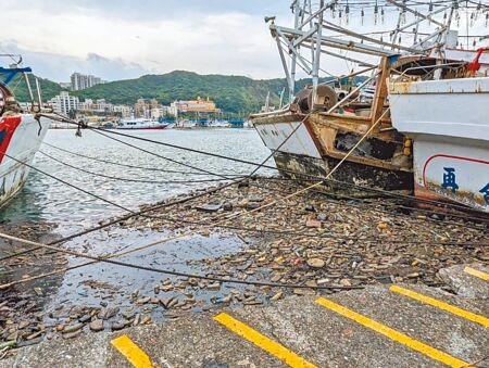 
基隆市八斗子漁港4日上午突然出現大量油汙與被颱風打進港內的海漂垃圾，汙染港內水質，中油緊急派員在現場清理。（張志康攝）
