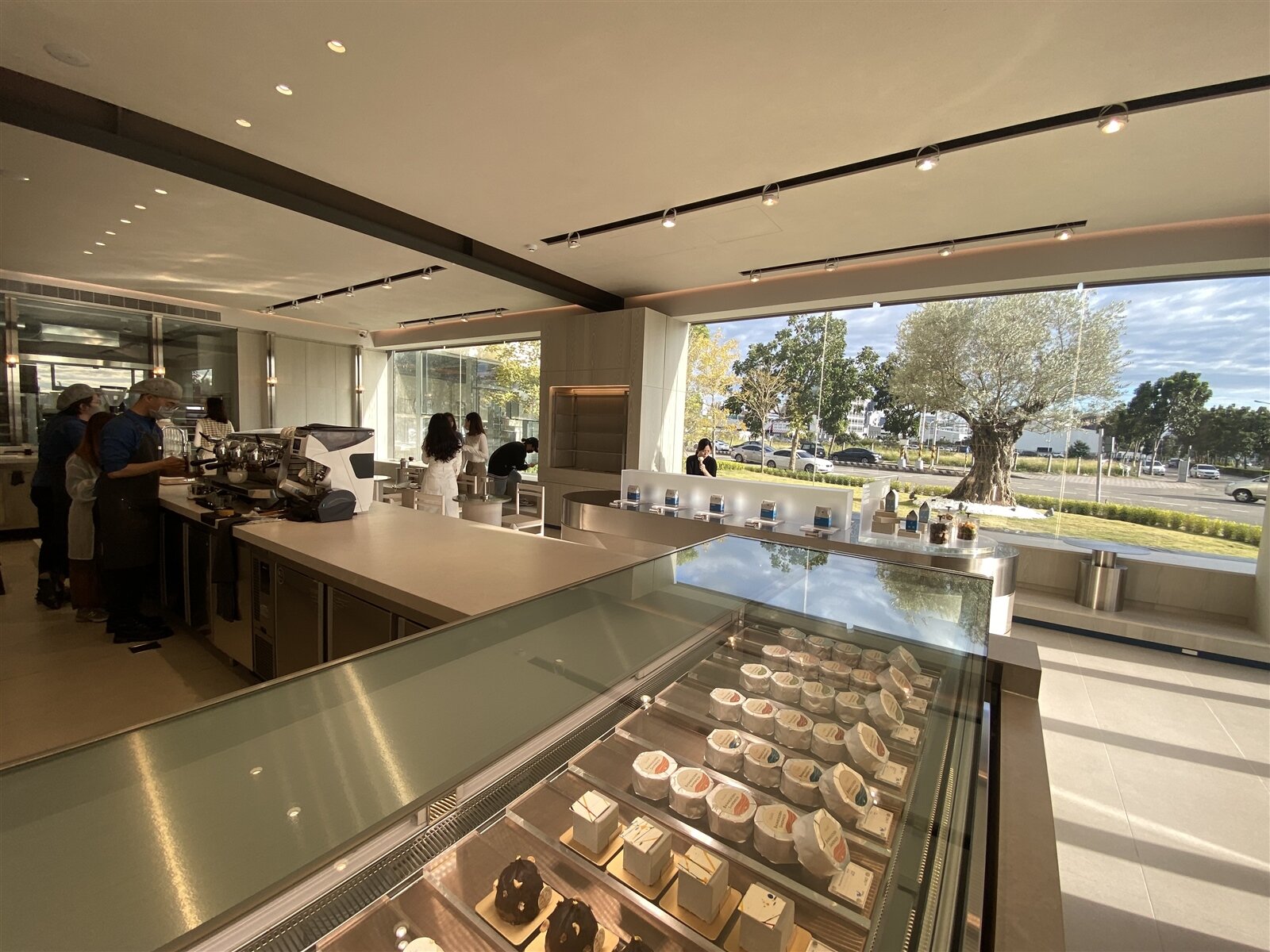 「kafeD 咖啡滴」精品咖啡台中水湳旗艦店,門口有棵義大利橄欖樹,成網美打卡景點。記者趙容萱/攝影