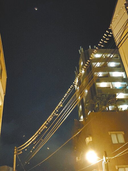 恆春半島正進入家燕南遷主要過境期,近日每天都有上萬隻家燕夜棲電線,密密麻麻成排站立形成一特殊自然景象。(候鳥生態觀察家蔡乙榮提供/謝佳潾屏東傳真)