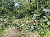 苗栗一家5口陳屍車內　最小才4歲