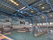 建築老舊...歸仁泳池漏水原因曝　台南市府回應了