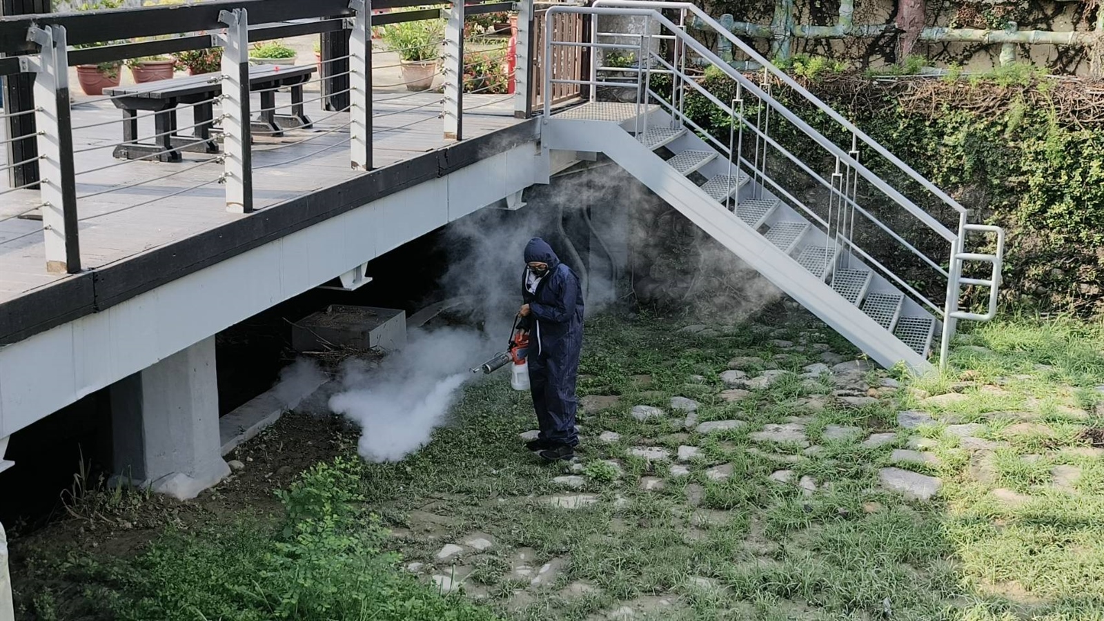 防疫團隊在壽山國家自然公園噴藥消除登革熱病媒蚊。記者卜敏正／攝影 