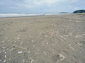 颱風＋西南氣流　台南海岸清出219公噸垃圾　仍清不完