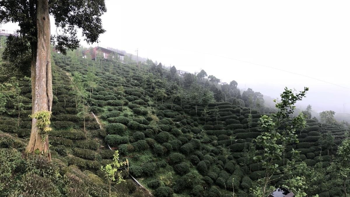 ▼農地用途變更涉及法令,一旦國土計畫法上路,屆時土地使用分區將無法進行變更。(示意圖/EBC地產王)