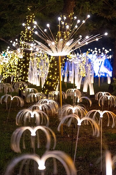 人文地景區展出許多裝置藝術作品。圖/桃園市政府提供