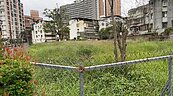 新店精華區國有地長期荒廢　民眾盼做公園、機車停車場