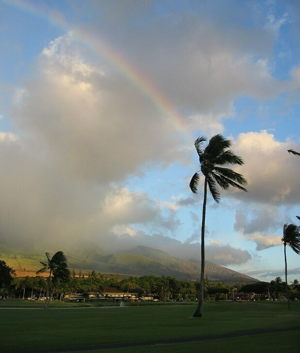 美國夏威夷茂宜島（Maui）野火肆虐。示意圖／維基百科