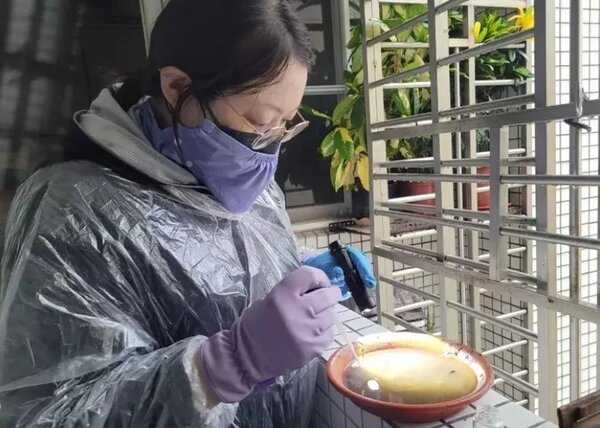 台南市衛生局持續落實社區孳清，在安南區查獲5個陽性容器，開立3張舉發單。圖／台南市衛生局提供
