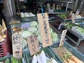 風災後高麗菜每顆破百元　賣場進口越南高麗菜供選擇