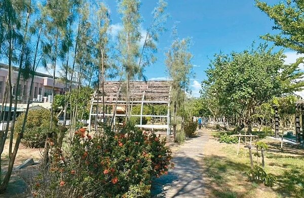 台南市推空品淨化區,七股龍山社區栽種原生濱海植物,昨天舉辦活動,推廣相關概念給居民。圖/環保局提供