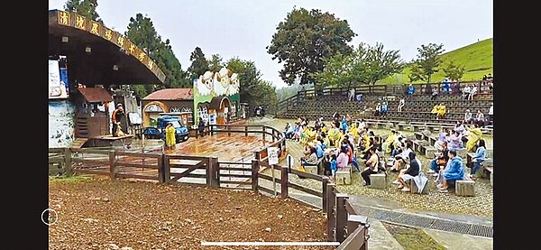 清境農場昨下午舞台演出雖飄起小雨,但遊客穿上雨衣仍熱情參與。圖/清境農場提供