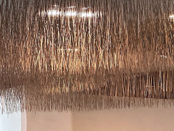 藺草浪。圖/台中市文化局提供