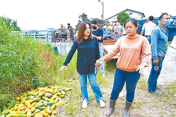 南投縣政府統計卡努颱風重創南投農業區,農損超過1.6億元。(南投縣政府提供/曾雪蒨南投傳真)