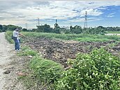 2公里外都聞得到…這村子飄惡臭　彰化縣府找到禍首要開罰了