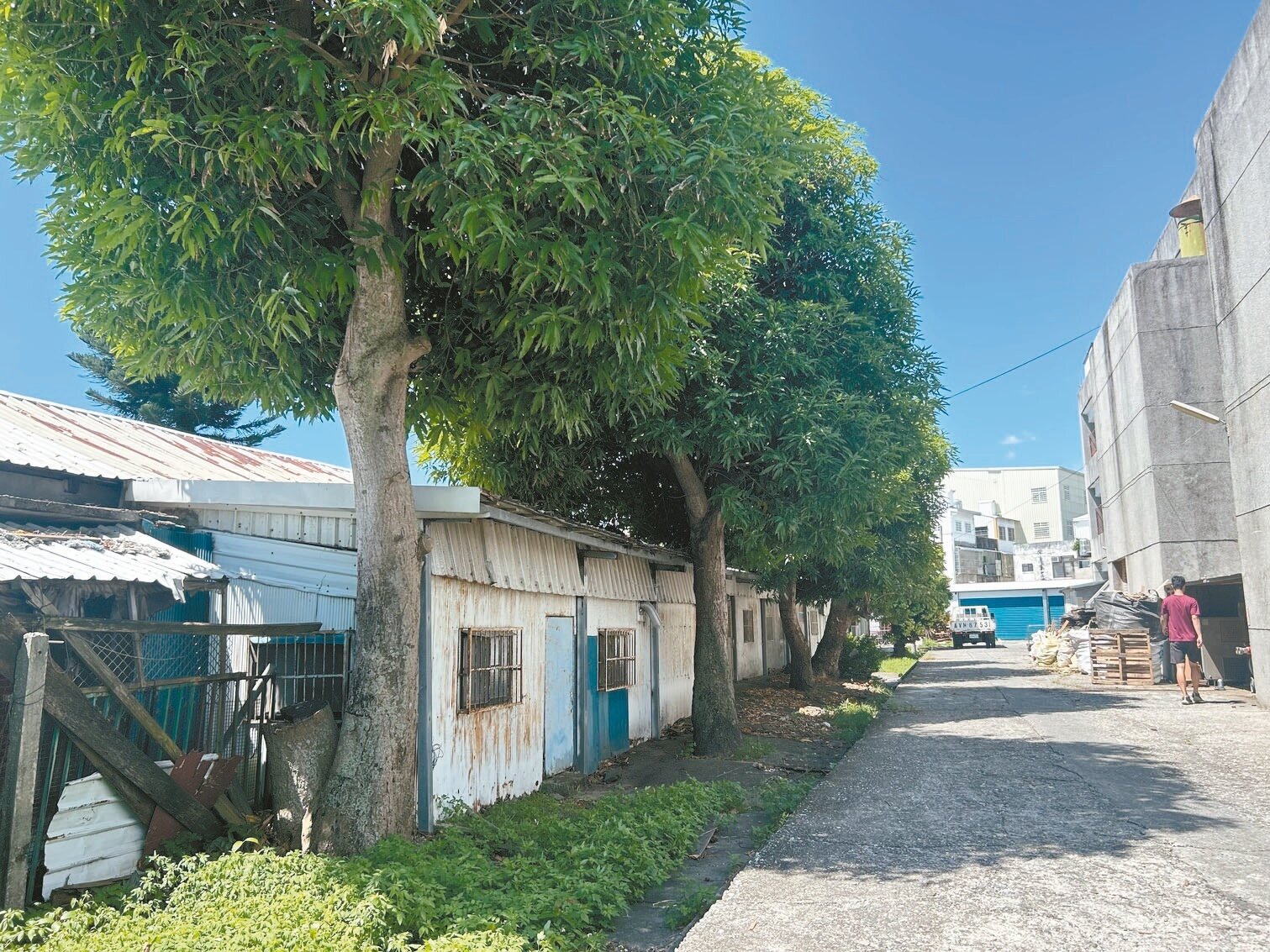 台東公東高工為籌措資金缺口，將出售現為教師宿舍的校地。記者徐白櫻／攝影 